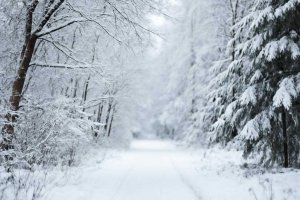 Как сохранить волосы зимой без ломкости и тусклости