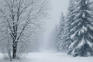 Зимний режим для волос и кожи головы